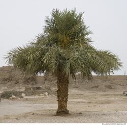 Photo Textures of Nature